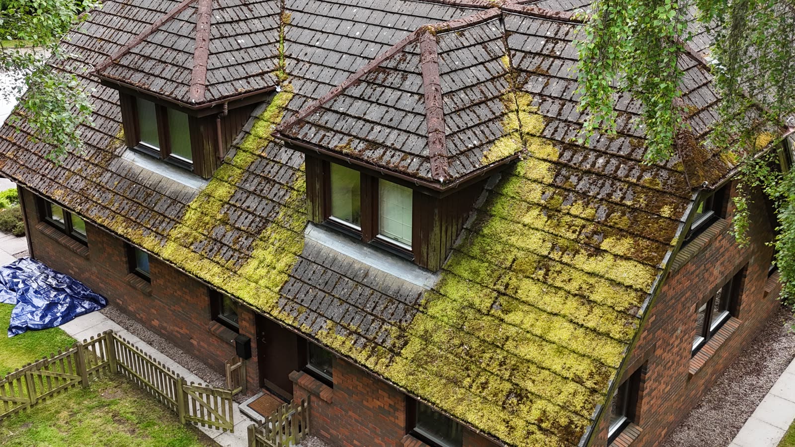 Aberdeen roof covered in heavy green moss before cleaning