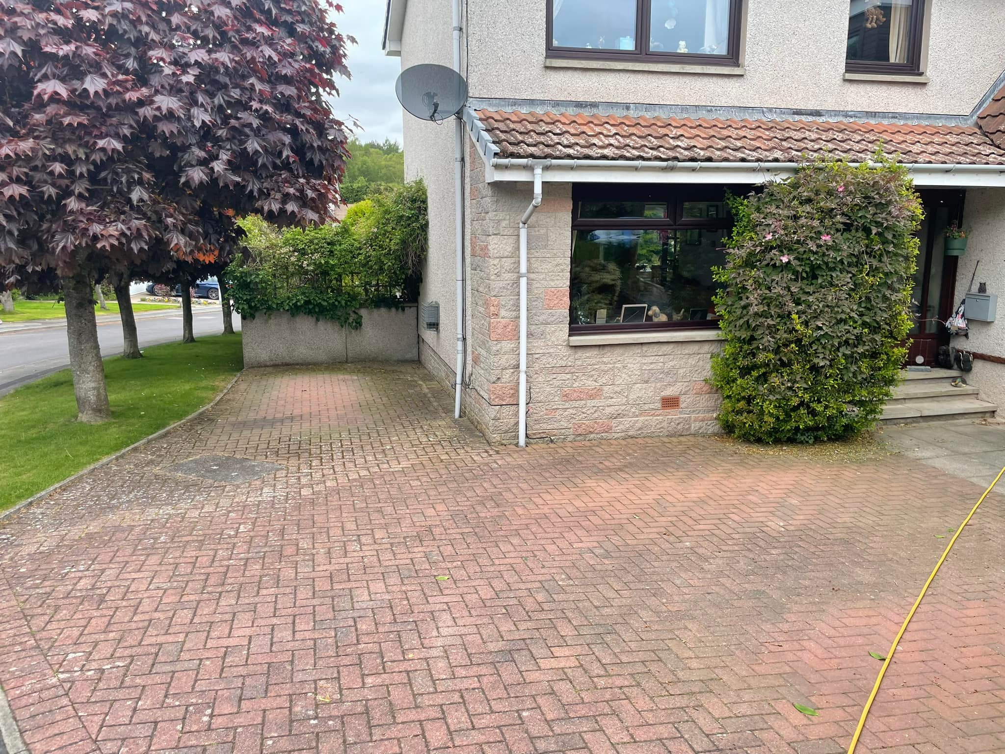 Customer photo of an algae-covered driveway sent for a quote