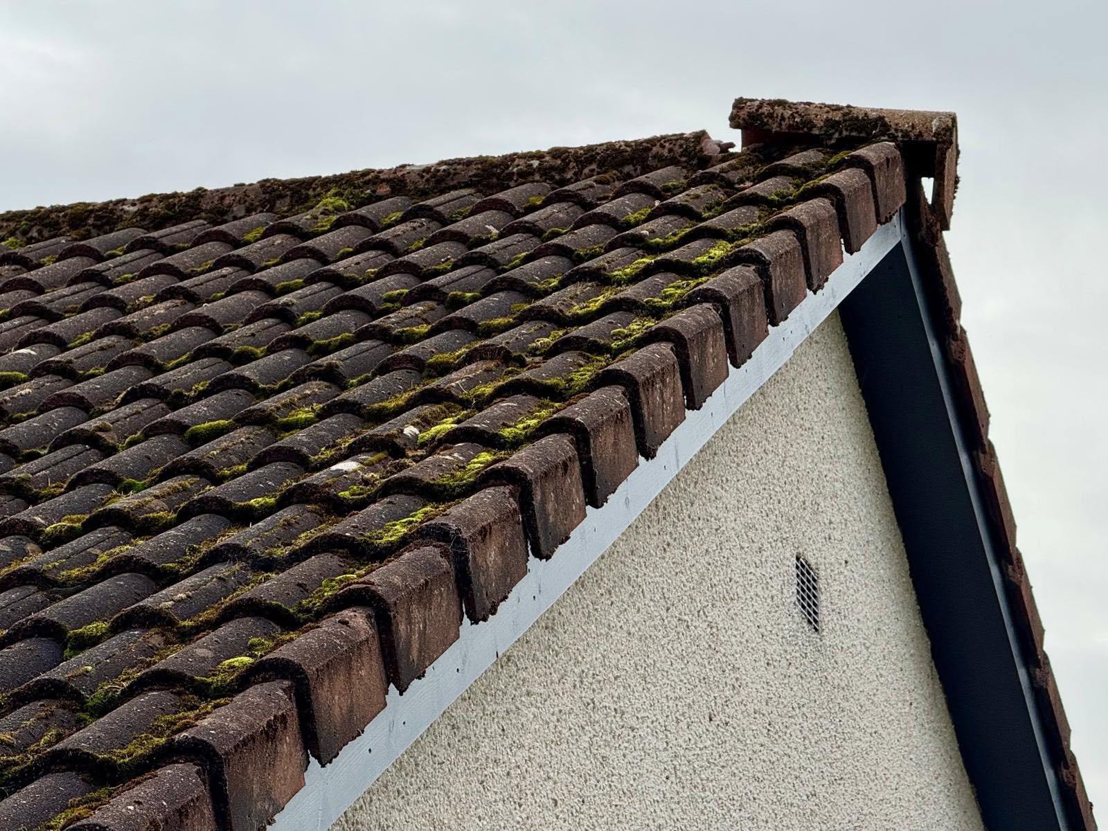 Moss-covered concrete roof tiles before cleaning